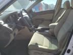 2009 Honda Accord LXP