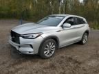 2021 Infiniti QX50 Pure