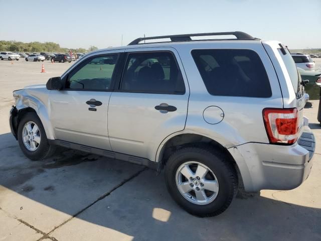 2009 Ford Escape XLT