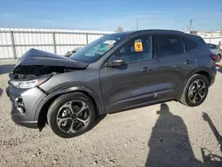 Ford Escape st salvage cars for sale: 2024 Ford Escape ST Line Select