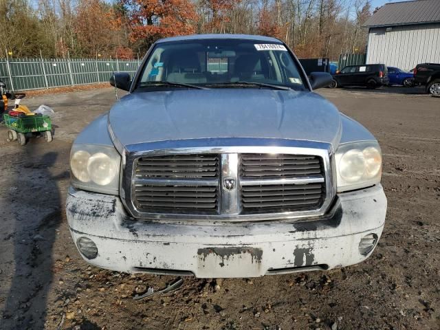 2005 Dodge Dakota Quattro