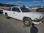 2001 Dodge Dakota