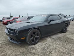 Dodge salvage cars for sale: 2013 Dodge Challenger SXT