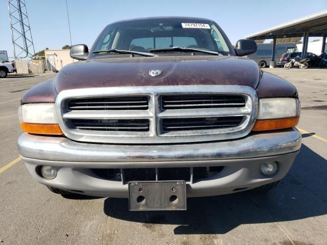 2004 Dodge Dakota Quad SLT