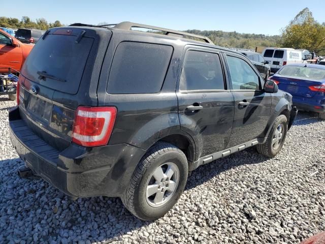 2009 Ford Escape XLT