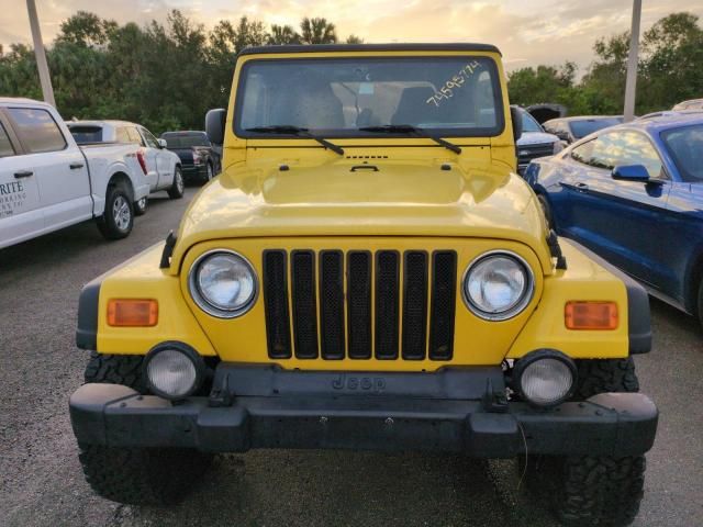 2003 Jeep Wrangler / TJ Sport