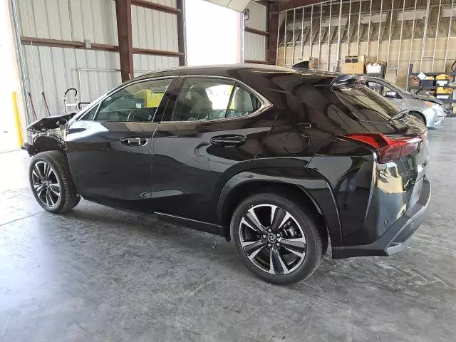 2025 Lexus UX 300H Base