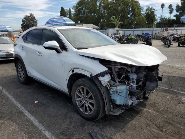 2019 Lexus NX 300H