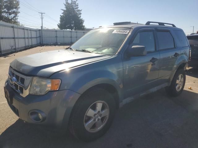 2010 Ford Escape XLT