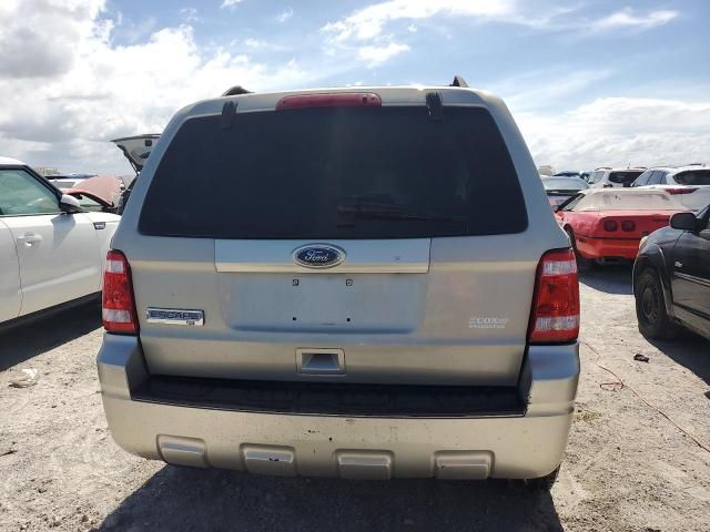 2010 Ford Escape XLT