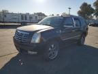 2007 Cadillac Escalade Luxury