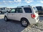 2009 Ford Escape Limited