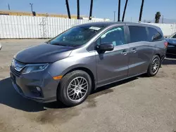 2019 Honda Odyssey EXL en venta en Van Nuys, CA