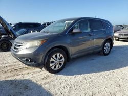 Salvage cars for sale at Arcadia, FL auction: 2012 Honda CR-V EX