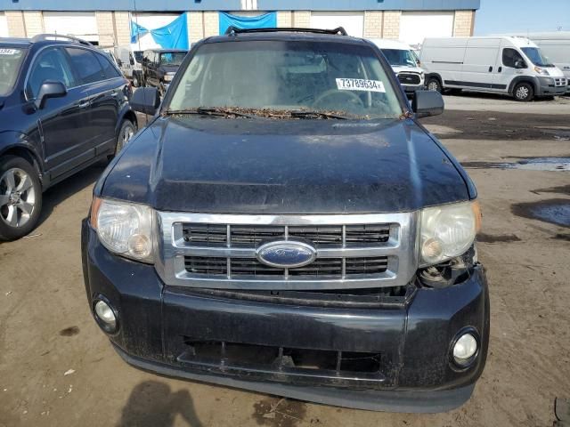 2011 Ford Escape XLT