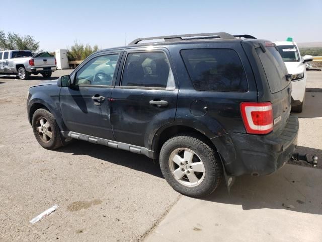 2010 Ford Escape XLT