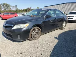 Toyota Vehiculos salvage en venta: 2010 Toyota Camry Hybrid