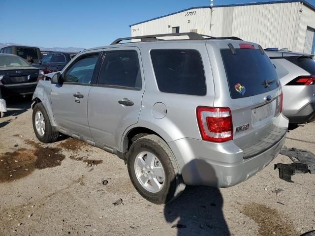 2009 Ford Escape XLT