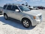 2008 Ford Escape Limited