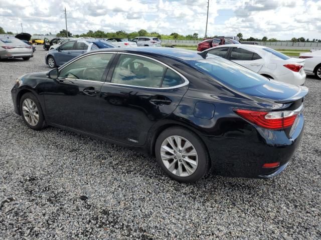 2013 Lexus ES 300H