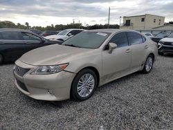 Salvage cars for sale at Riverview, FL auction: 2015 Lexus ES 350