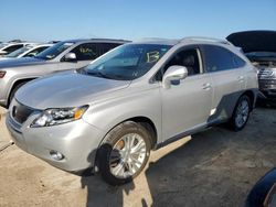 Salvage cars for sale at Riverview, FL auction: 2010 Lexus RX 450H