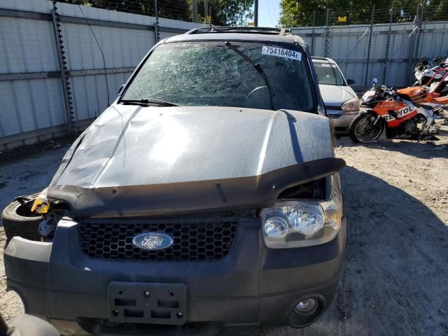 2006 Ford Escape XLT