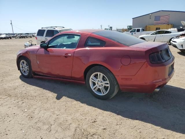 2014 Ford Mustang