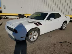 Salvage cars for sale from Copart Tucson, AZ: 2013 Dodge Challenger SXT