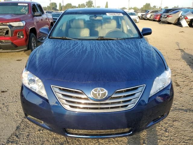 2009 Toyota Camry Hybrid