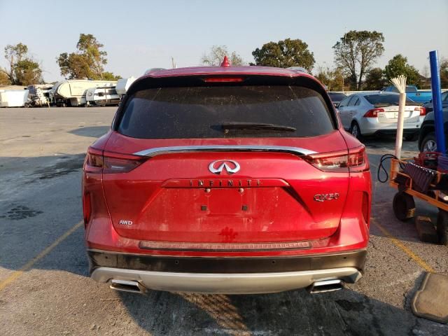 2023 Infiniti QX50 Sensory