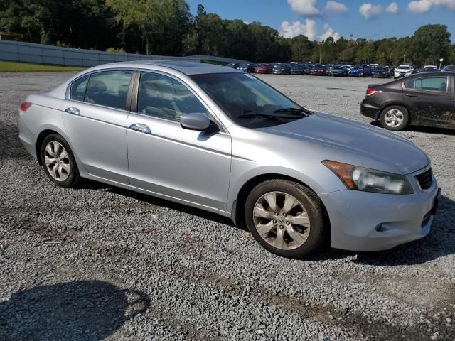 2010 Honda Accord EXL