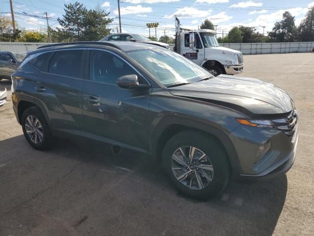 2022 Hyundai Tucson Blue