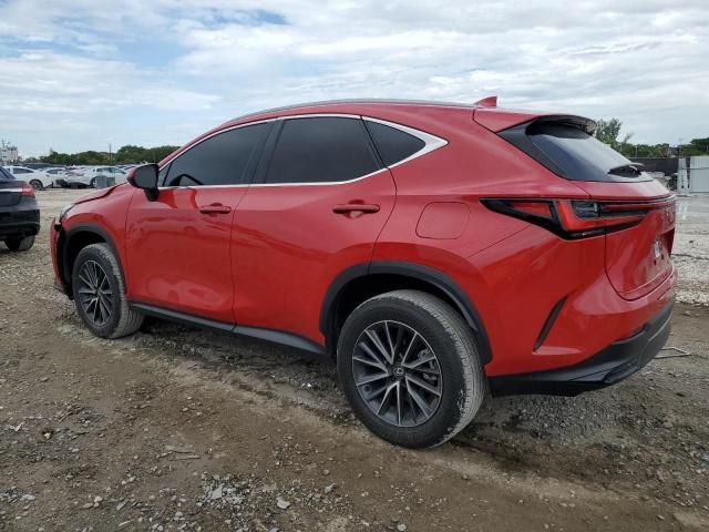 2024 Lexus NX 250 Base