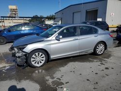 Salvage cars for sale at New Orleans, LA auction: 2014 Honda Accord EXL