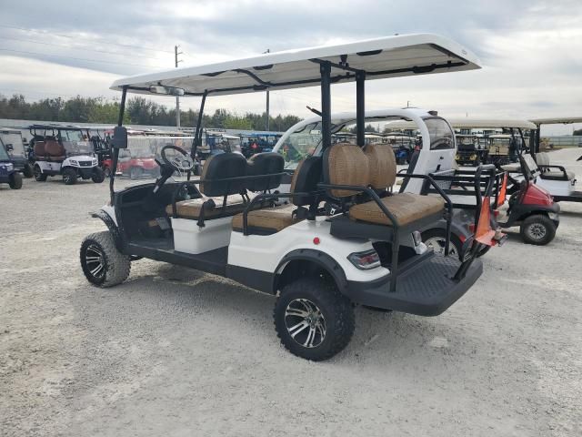 2021 Aspt Golf Cart