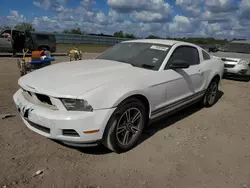 Ford salvage cars for sale: 2010 Ford Mustang