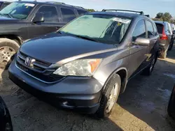 Flood-damaged cars for sale at auction: 2010 Honda CR-V EXL