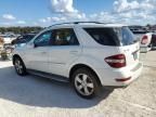 2010 Mercedes-Benz ML 350