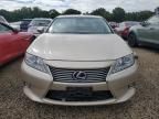 2014 Lexus ES 300H