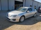 2010 Ford Fusion Hybrid