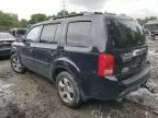 2015 Honda Pilot EXL