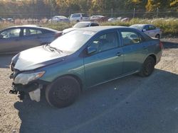 Toyota Corolla salvage cars for sale: 2009 Toyota Corolla Base