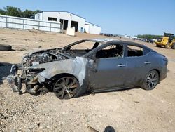 Salvage cars for sale at auction: 2019 Nissan Maxima S