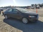 2016 Ford Fusion SE Hybrid