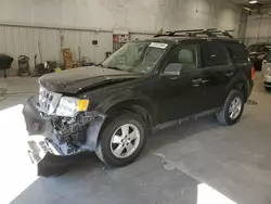 Ford salvage cars for sale: 2012 Ford Escape XLT