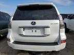 2020 Lexus GX 460 Premium