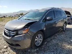 Salvage cars for sale at Magna, UT auction: 2016 Honda Odyssey EXL