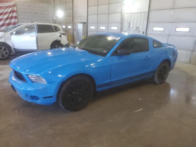 2010 Ford Mustang