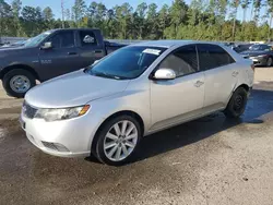 Salvage cars for sale at Harleyville, SC auction: 2010 KIA Forte EX